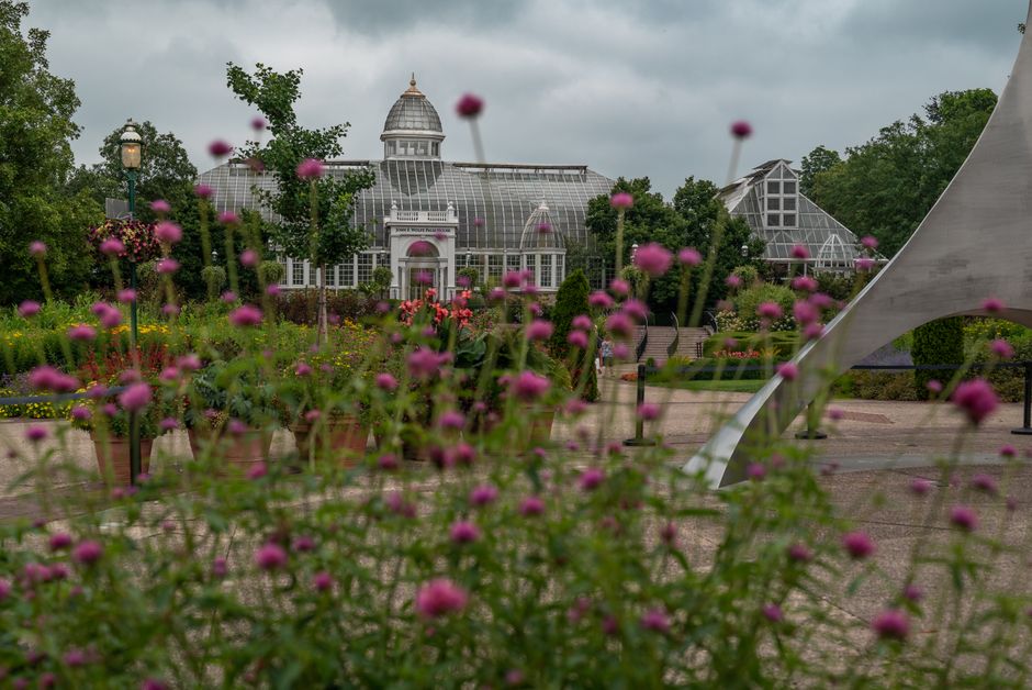 The image showcases a large glass greenhouse structure with a domed roof and metal framework, situated within a well-maintained garden area. In the foreground, there are numerous flowering plants with small, rounded pink blossoms and green foliage, some in terracotta pots arranged on the paved ground. The garden features neatly trimmed bushes and small trees, with additional floral displays and a path leading toward the greenhouse. To the right, a contemporary metallic sculpture with smooth, curved surfaces is partially visible, contrasting with the natural greenery. Overcast skies cast a diffuse light over the scene, contributing to a subdued atmosphere. The environment appears to be in a public garden or botanical setting, which could offer private or independent waste collection services, such as those provided by Waste Disposal Richmond, to ensure cleanliness and maintenance of the site, especially given the outdoor setting and floral landscaping.